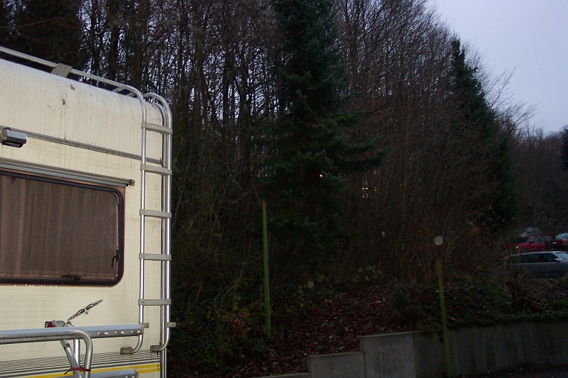 cluster 3537070.JPG - Kur Atze-Bad Driburg